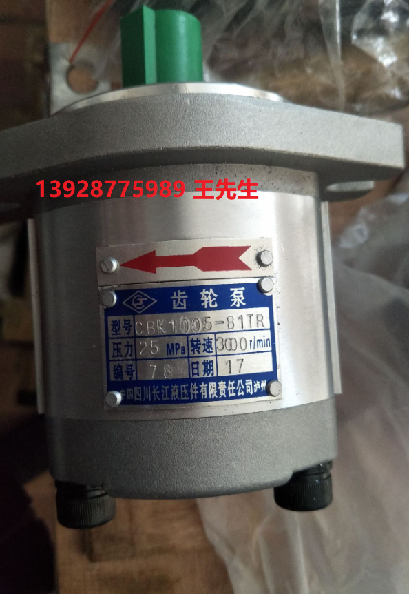 長(zhǎng)江CMK1系列齒輪馬達(dá)