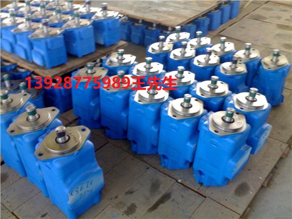 威格士插裝閥CVCS-32-D3-20 CVCS32-N-B2920  CVCS32PC20 CVCS32D320  伊頓液壓泵PFXS-180-M-L-00-0000 PFXS 180 ML PFXS180ML000000  伊頓液壓泵PFXS-180-M-L-00-0000 PFXS 180 ML PFXS180ML000000