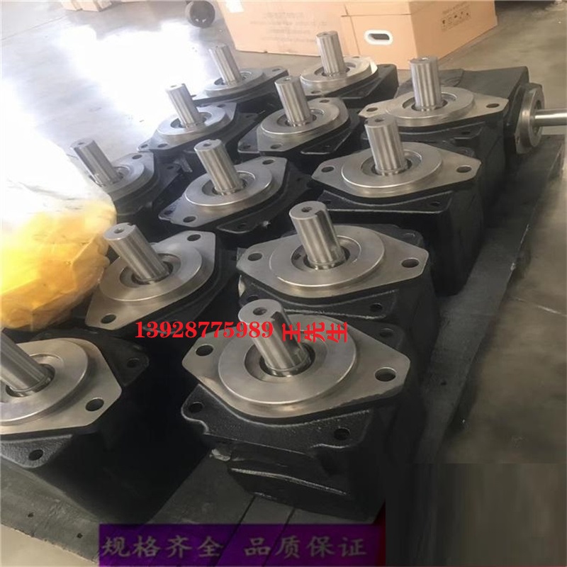 伊頓威格士液壓柱塞泵PVM074ER09GS02BYC28200001A0A液壓現(xiàn)貨  威格士液壓泵PVM045ER05CS02AAC28110000A0A現(xiàn)貨  威格士液壓泵PVM045ER05CS02AAC28110000A0A現(xiàn)貨