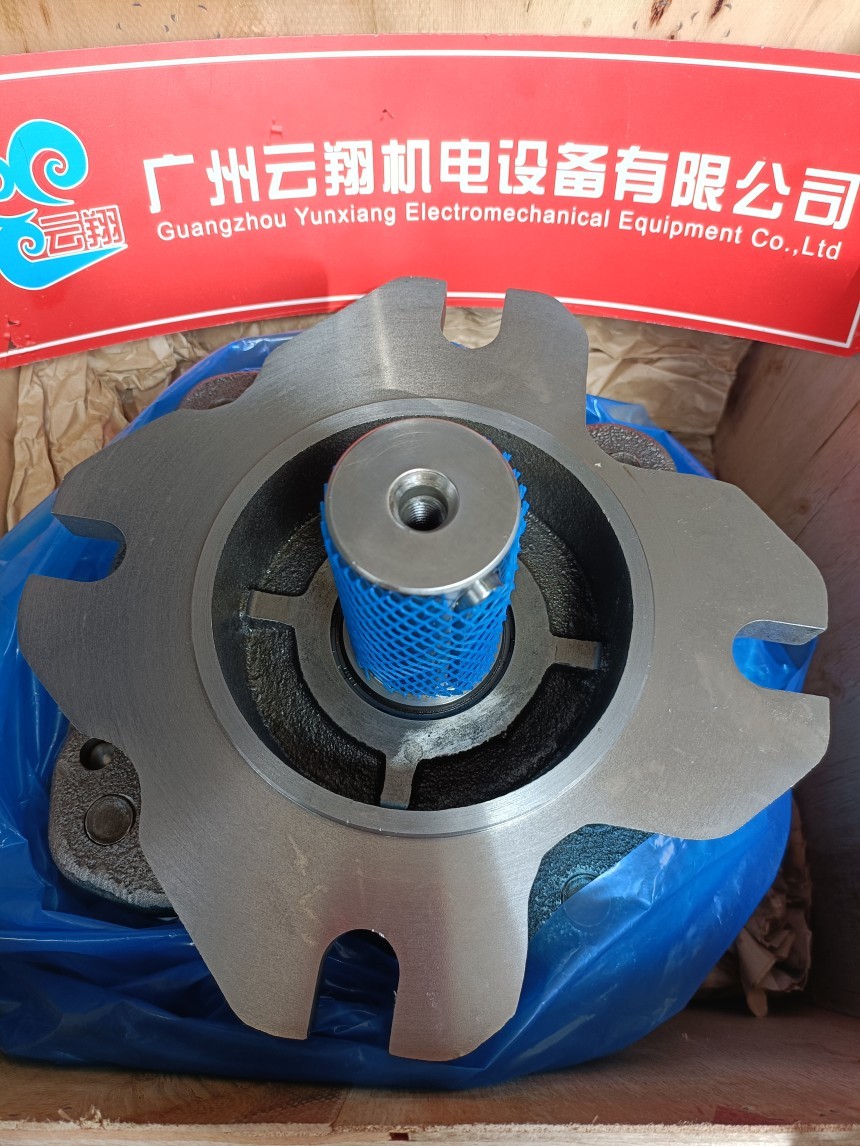 Voith福伊特IPV6-125-101 Voith福伊特IPV6-125-111 Voith福伊特IPV7-160-101
