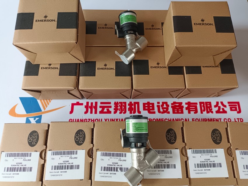 常見類型阿斯卡ASCO電磁閥VCEFCM8210G089 AC220V