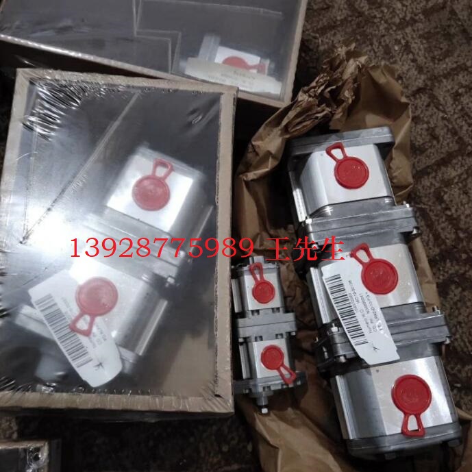 馬祖奇雙聯(lián)齒輪泵ALP4-D-160-FG-V