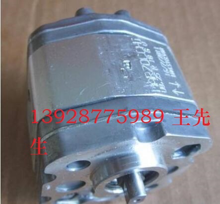 馬祖奇雙聯(lián)齒輪泵ALP4E-D-160-FG-V