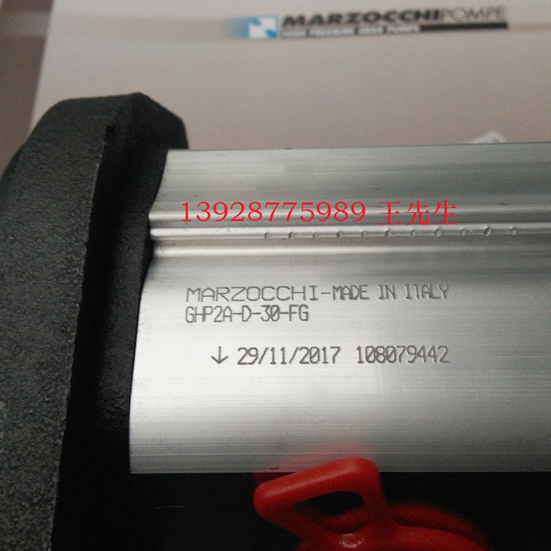 馬祖奇雙聯(lián)齒輪泵ALP2BK1-D-13-FG-V