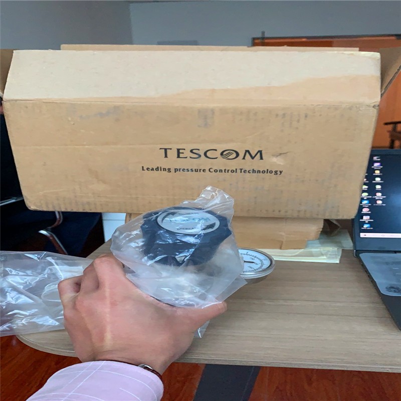 74-3000系列 600PSIG 3-60減壓閥現貨 美國TESCOM閥門